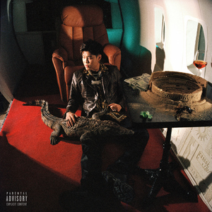 男人茎进女人阳道视频
