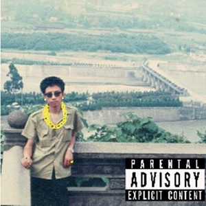 男人茎进女人阳道视频
